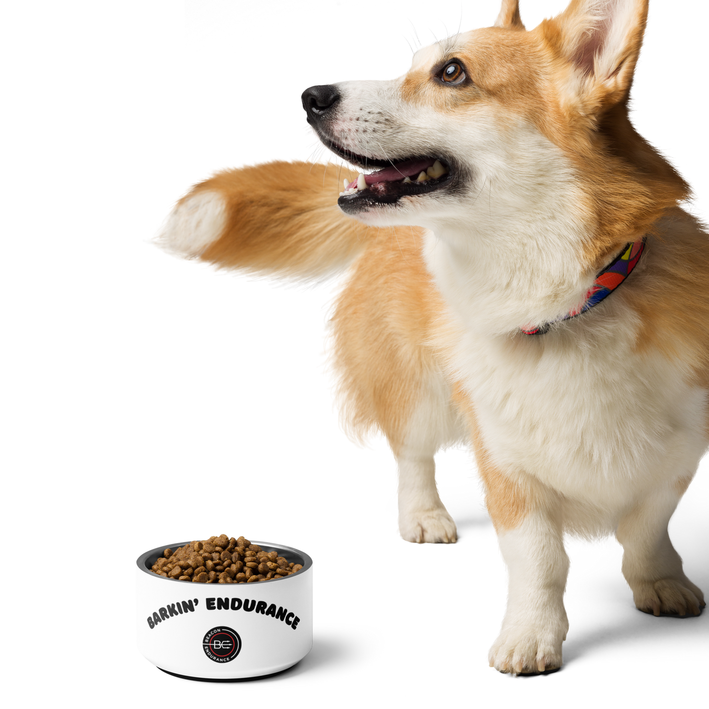 Barkin' Endurance Pet Bowl (White)